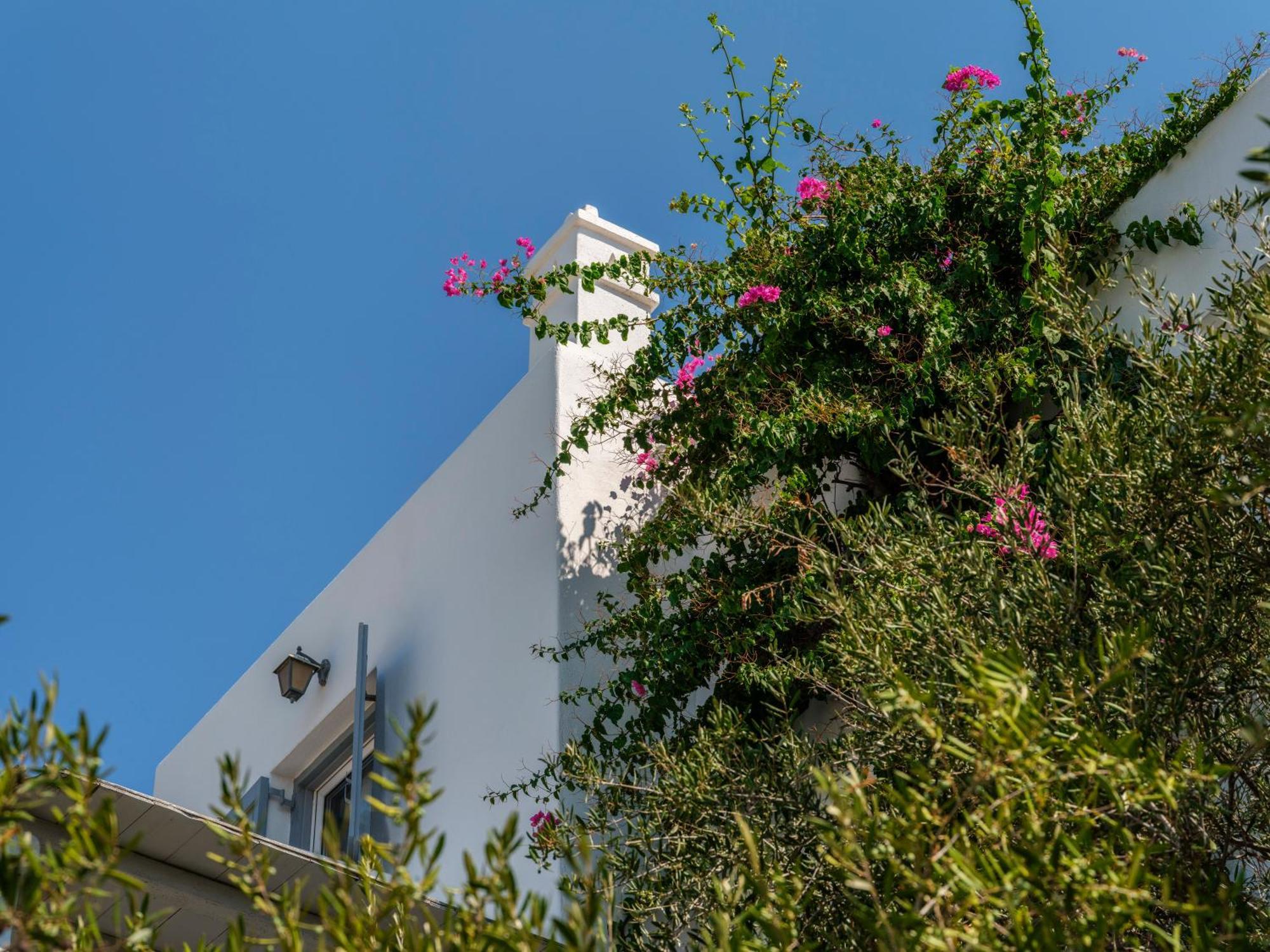Baybees Sea View Residence Platys Gialos  Exterior foto
