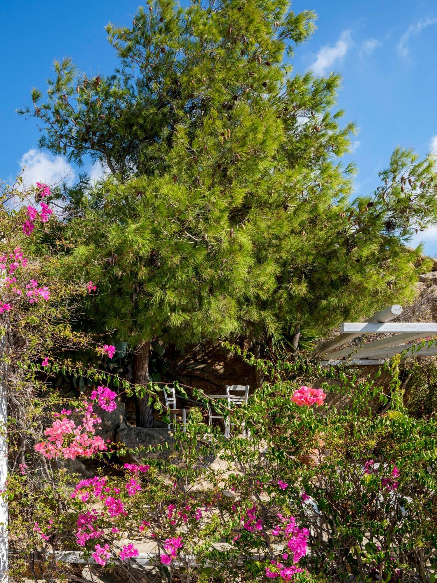 Baybees Sea View Residence Platys Gialos  Exterior foto